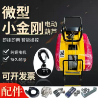 微型小金剛電動(dòng)葫蘆